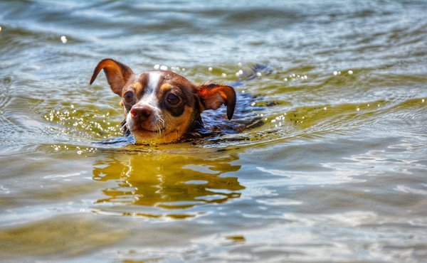 Construire une maison écologique : Par où commencer ?