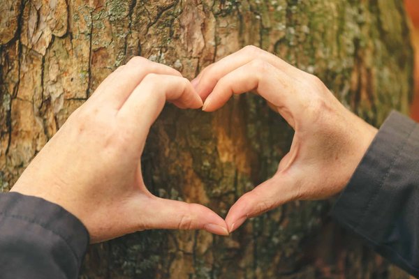 Quels sont les secteurs d'activité présents au salon de l'environnement de Douai?